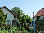 Třibřichy